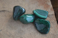 Polished Flower Banded Malachite Free Forms x 35 From Congo - Toprock Gemstones and Minerals 