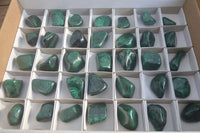 Polished Flower Banded Malachite Free Forms x 35 From Congo - Toprock Gemstones and Minerals 