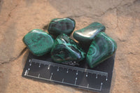 Polished Flower Banded Malachite Free Forms x 35 From Congo - Toprock Gemstones and Minerals 