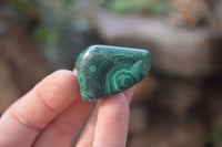 Polished Flower Banded Malachite Free Forms x 35 From Congo - Toprock Gemstones and Minerals 