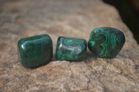 Polished Flower Banded Malachite Free Forms x 35 From Congo - Toprock Gemstones and Minerals 