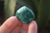 Polished Flower Banded Malachite Free Forms x 35 From Congo - Toprock Gemstones and Minerals 