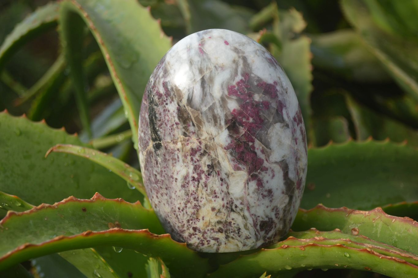 Polished Rubellite Pink Tourmaline Standing Free Forms x 2 From Madagascar - Toprock Gemstones and Minerals 