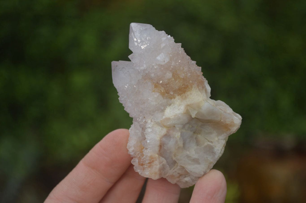 Natural Spirit Quartz Clusters x 12 From Boekenhouthoek, South Africa - Toprock Gemstones and Minerals 