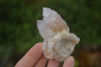 Natural Spirit Quartz Clusters x 12 From Boekenhouthoek, South Africa - Toprock Gemstones and Minerals 