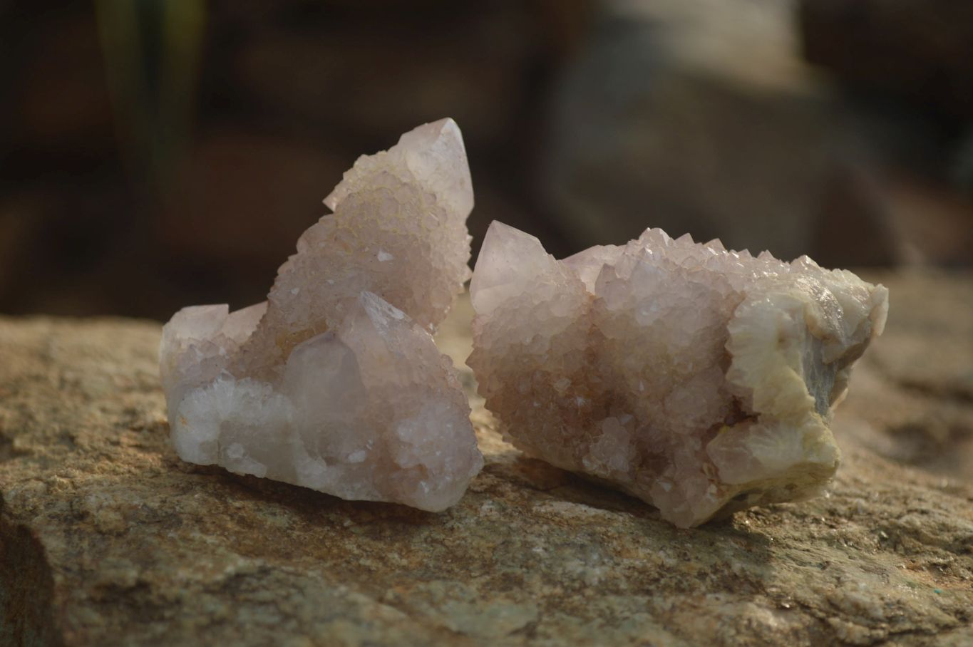 Natural Spirit Quartz Clusters x 12 From Boekenhouthoek, South Africa - Toprock Gemstones and Minerals 