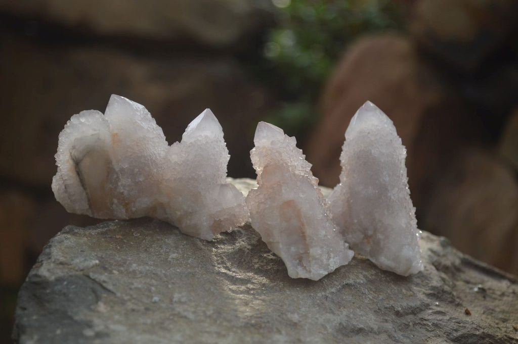 Natural Spirit Quartz Clusters x 12 From Boekenhouthoek, South Africa - Toprock Gemstones and Minerals 