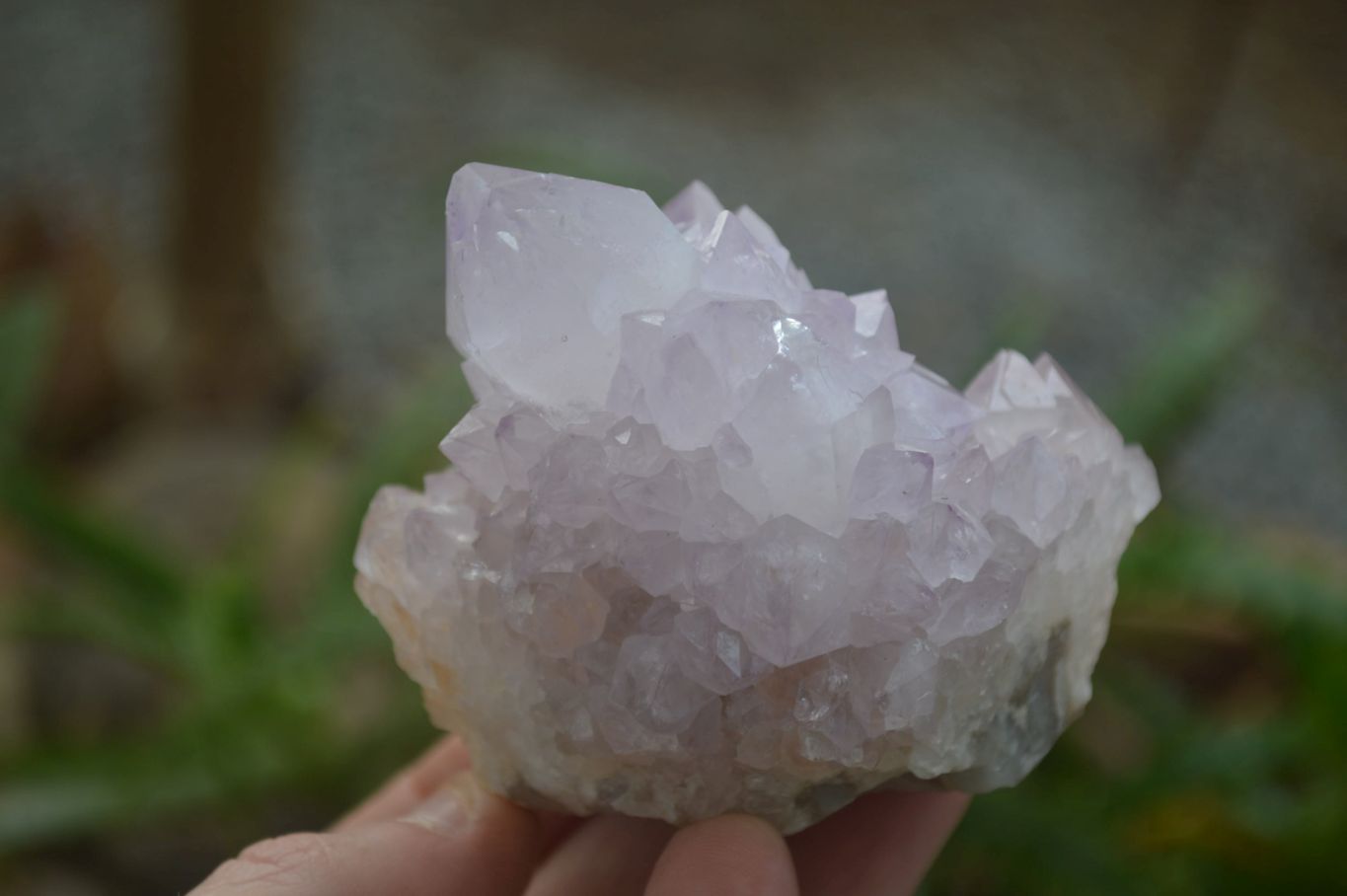 Natural Amethyst Cactus Flower Spirit Quartz Clusters x 6 From South Africa - Toprock Gemstones and Minerals 