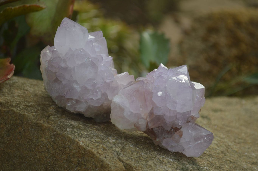 Natural Amethyst Cactus Flower Spirit Quartz Clusters x 6 From South Africa - Toprock Gemstones and Minerals 