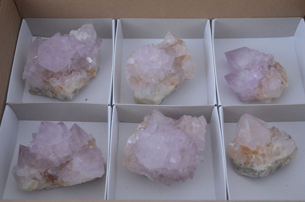 Natural Amethyst Cactus Flower Spirit Quartz Clusters x 6 From South Africa - Toprock Gemstones and Minerals 