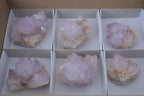 Natural Amethyst Cactus Flower Spirit Quartz Clusters x 6 From South Africa - Toprock Gemstones and Minerals 