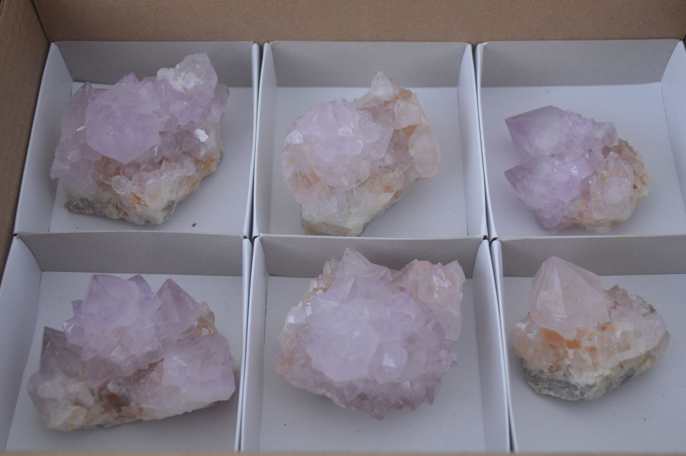 Natural Amethyst Cactus Flower Spirit Quartz Clusters x 6 From South Africa - Toprock Gemstones and Minerals 