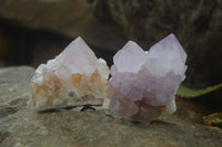Natural Amethyst Cactus Flower Spirit Quartz Clusters x 6 From South Africa