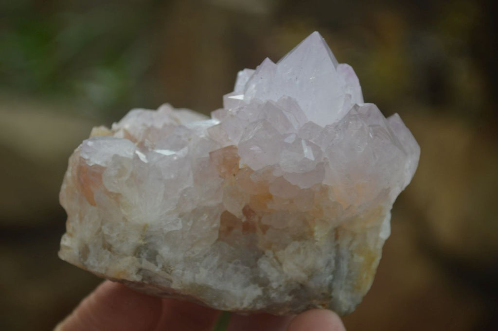 Natural Amethyst Cactus Flower Spirit Quartz Clusters x 6 From South Africa - Toprock Gemstones and Minerals 