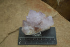 Natural Amethyst Cactus Flower Spirit Quartz Clusters x 6 From South Africa - Toprock Gemstones and Minerals 