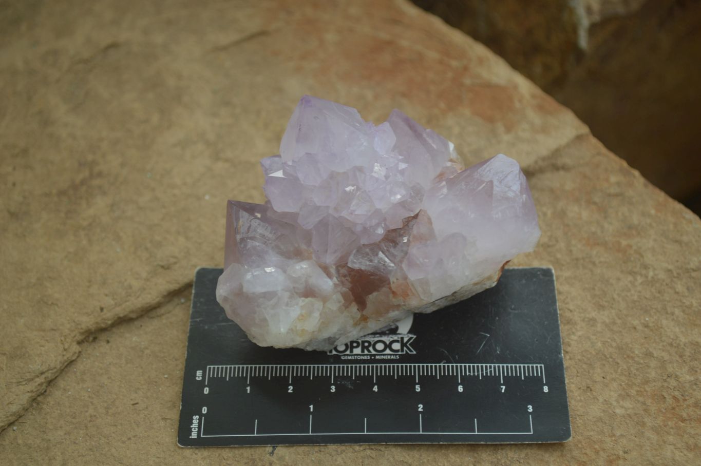 Natural Amethyst Cactus Flower Spirit Quartz Clusters x 6 From South Africa - Toprock Gemstones and Minerals 