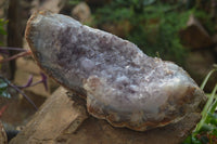 Natural Zululand Amethyst Geode Plate Specimens x 2 from Jozini, South Africa - Toprock Gemstones and Minerals 