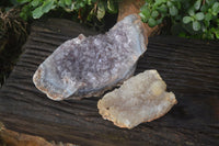 Natural Zululand Amethyst Geode Plate Specimens x 2 from Jozini, South Africa - Toprock Gemstones and Minerals 