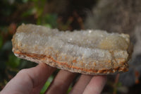 Natural Zululand Amethyst Geode Plate Specimens x 2 from Jozini, South Africa - Toprock Gemstones and Minerals 