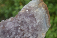 Natural Zululand Amethyst Geode Plate Specimens x 2 from Jozini, South Africa - Toprock Gemstones and Minerals 