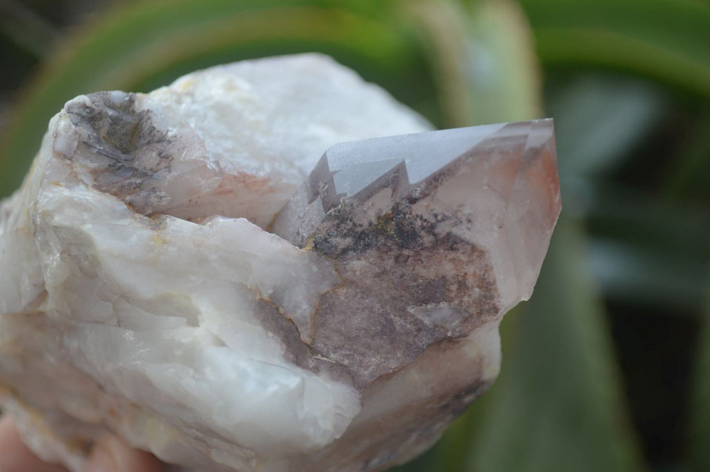 Natural Hematoid Quartz Clusters x 6 From Karoi, Zimbabwe - Toprock Gemstones and Minerals 