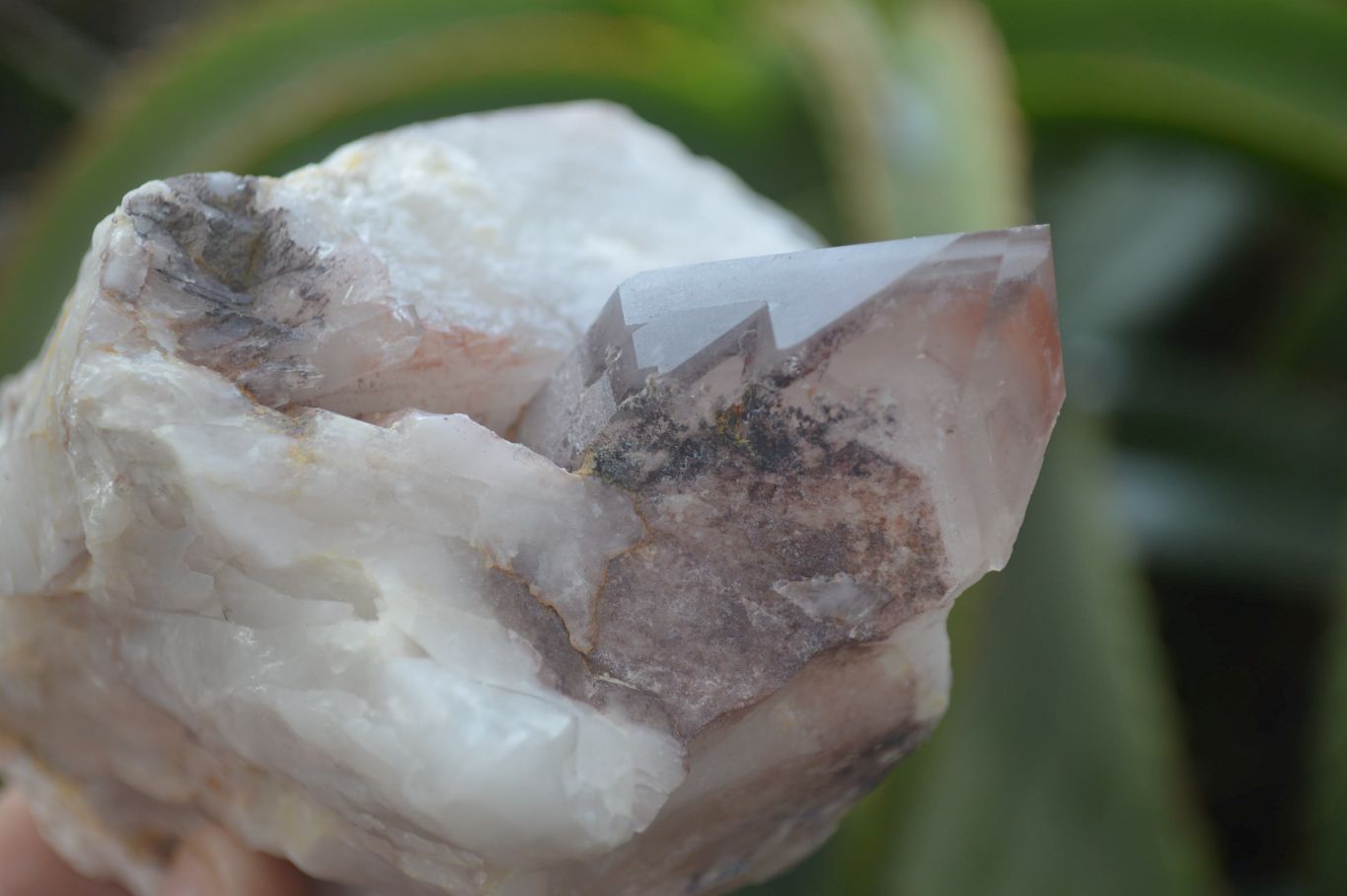 Natural Hematoid Quartz Clusters x 6 From Karoi, Zimbabwe - Toprock Gemstones and Minerals 