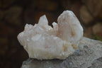 Natural Hematoid Quartz Clusters x 6 From Karoi, Zimbabwe - Toprock Gemstones and Minerals 