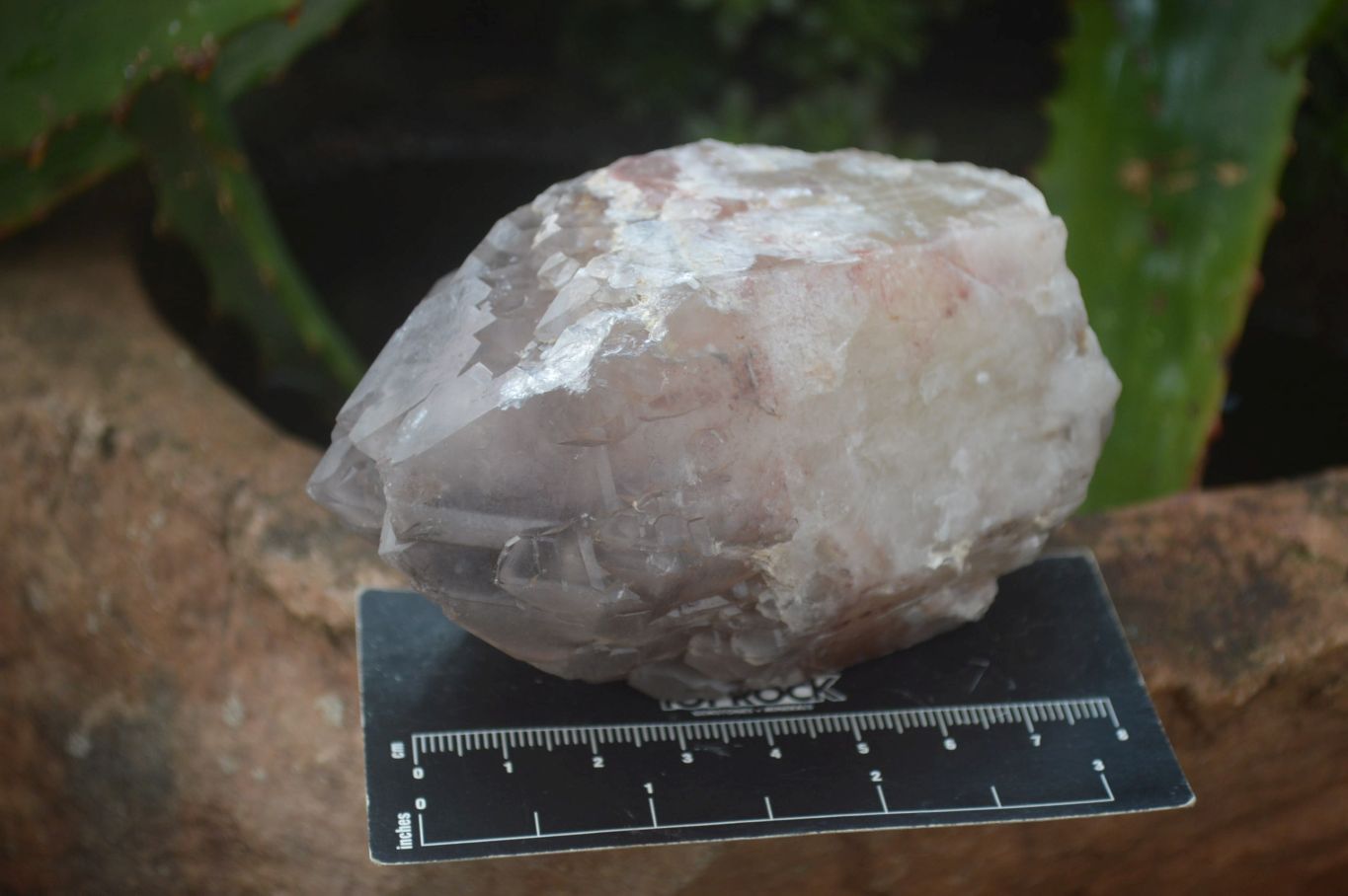 Natural Hematoid Quartz Clusters x 6 From Karoi, Zimbabwe - Toprock Gemstones and Minerals 