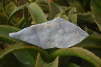 Natural Crystalline Blue Lace Agate Plates x 2 From Namibia - Toprock Gemstones and Minerals 