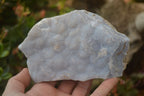 Natural Crystalline Blue Lace Agate Plates x 2 From Namibia - Toprock Gemstones and Minerals 