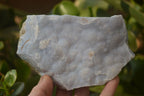 Natural Crystalline Blue Lace Agate Plates x 2 From Namibia - Toprock Gemstones and Minerals 