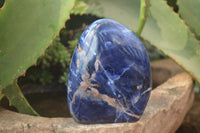 Polished Sodalite Standing Free Forms x 4 From Kunene River, Namibia - Toprock Gemstones and Minerals 
