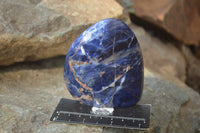 Polished Sodalite Standing Free Forms x 4 From Kunene River, Namibia - Toprock Gemstones and Minerals 
