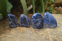 Polished Sodalite Standing Free Forms x 4 From Kunene River, Namibia - Toprock Gemstones and Minerals 