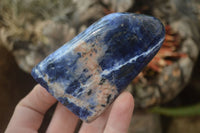 Polished Sodalite Standing Free Forms x 4 From Kunene River, Namibia - Toprock Gemstones and Minerals 
