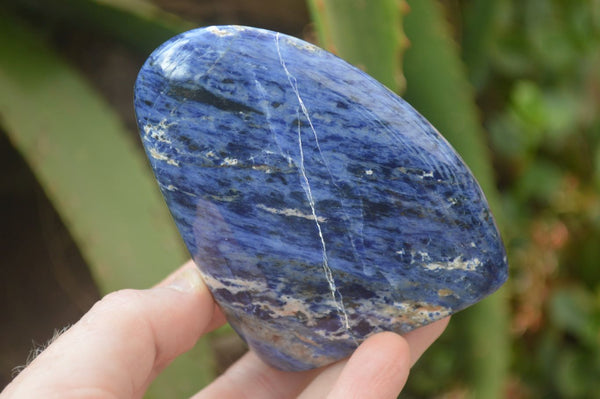 Polished Sodalite Standing Free Forms x 4 From Kunene River, Namibia - Toprock Gemstones and Minerals 