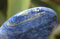 Polished Sodalite Standing Free Forms x 4 From Kunene River, Namibia - Toprock Gemstones and Minerals 