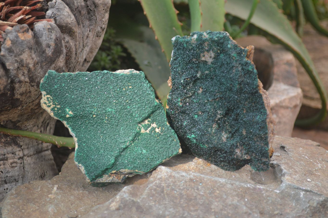 Natural Crystalline Malachite Specimens x 4 From Kasompe, Congo - Toprock Gemstones and Minerals 
