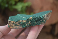 Natural Crystalline Malachite Specimens x 4 From Kasompe, Congo - Toprock Gemstones and Minerals 