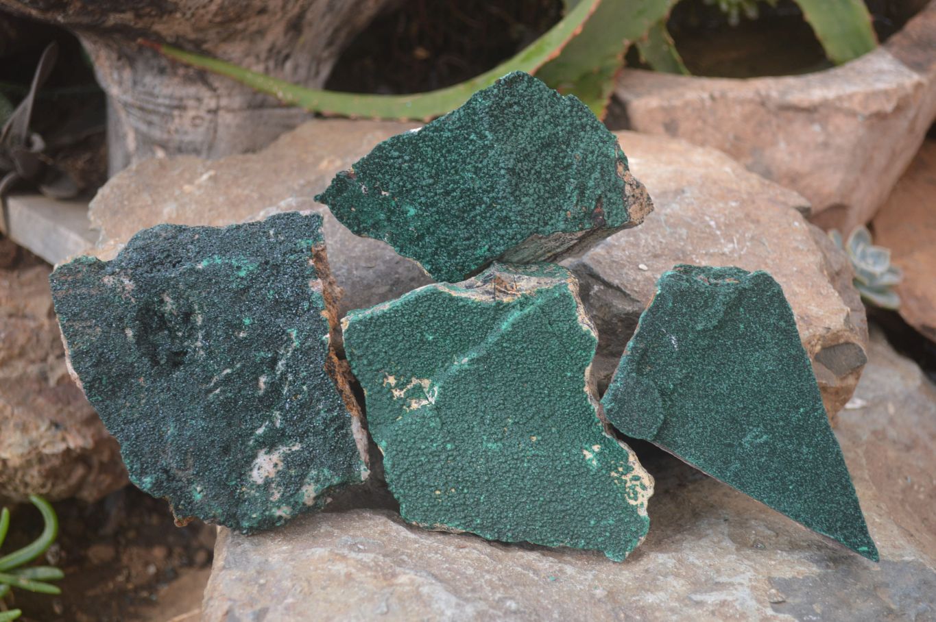 Natural Crystalline Malachite Specimens x 4 From Kasompe, Congo - Toprock Gemstones and Minerals 