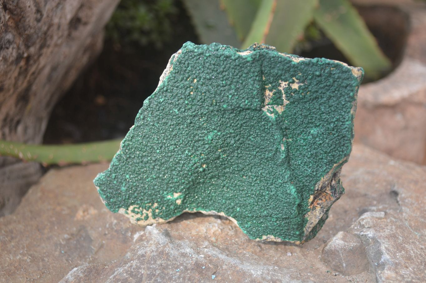 Natural Crystalline Malachite Specimens x 4 From Kasompe, Congo - Toprock Gemstones and Minerals 