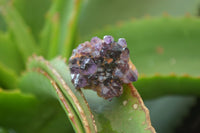 Natural Amethystos Amethyst Specimens x 70 From Kwaggafontein, South Africa - Toprock Gemstones and Minerals 