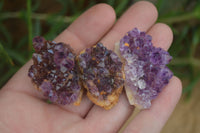 Natural Amethystos Amethyst Specimens x 70 From Kwaggafontein, South Africa - Toprock Gemstones and Minerals 