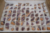 Natural Amethystos Amethyst Specimens x 70 From Kwaggafontein, South Africa - Toprock Gemstones and Minerals 