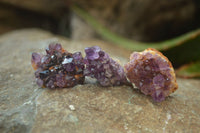 Natural Amethystos Amethyst Specimens x 70 From Kwaggafontein, South Africa - Toprock Gemstones and Minerals 