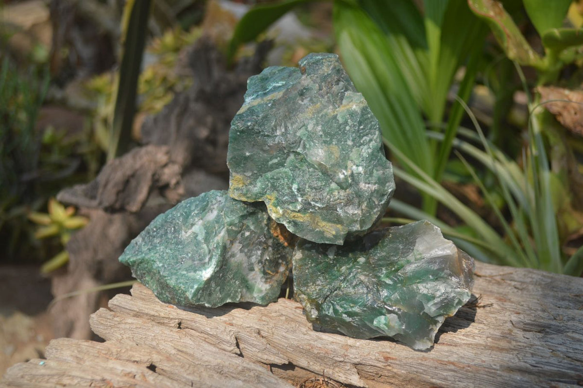 Natural Jade Cobbed Specimens x 12 From Swaziland - Toprock Gemstones and Minerals 