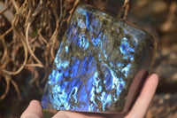 Polished Labradorite Standing Free Form x 1 From Tulear, Madagascar - Toprock Gemstones and Minerals 