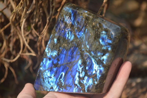 Polished Labradorite Standing Free Form x 1 From Tulear, Madagascar - Toprock Gemstones and Minerals 