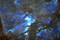 Polished Labradorite Standing Free Form x 1 From Tulear, Madagascar - Toprock Gemstones and Minerals 