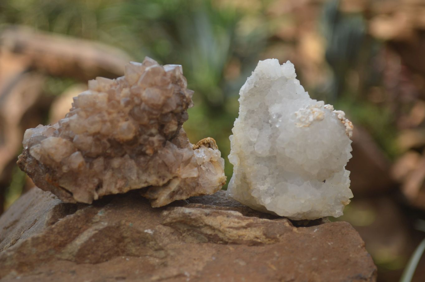 Natural Drusy Quartz Coated Calcite Pseudomorph Specimens x 12 From Lesotho - Toprock Gemstones and Minerals 